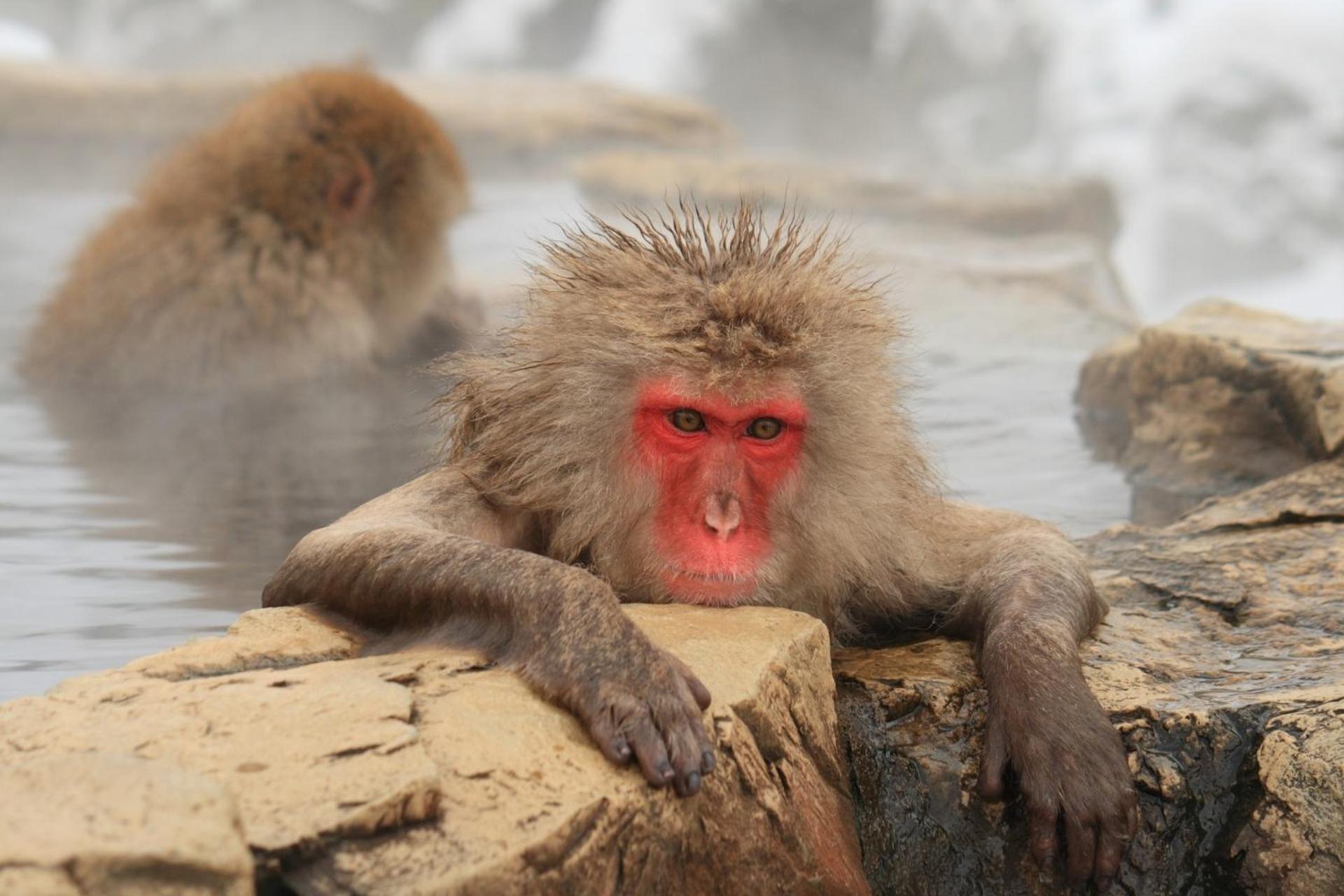Sa In Nagano Ishido - Vacation Stay 52524V Dış mekan fotoğraf